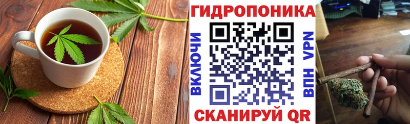 Cannafood конопля  Бабушкин 