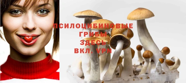 каннабис Медногорск
