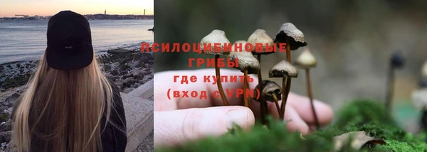 гидра Армянск
