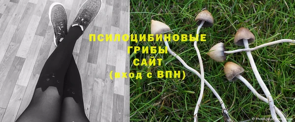 каннабис Медногорск