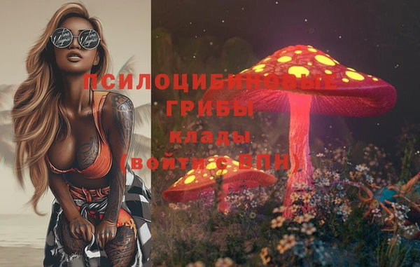 прущая мука Мегион