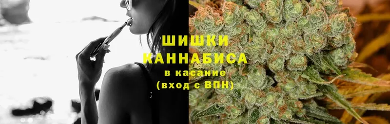 Бошки Шишки индика  Бабушкин 